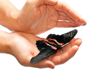 Similar image 352878