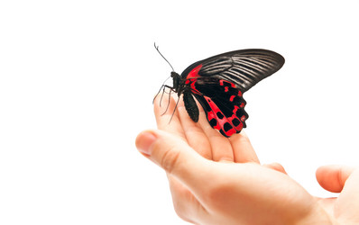 Similar image 352880