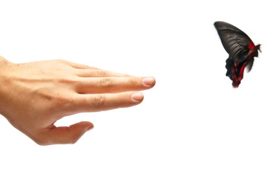 Similar image 352881