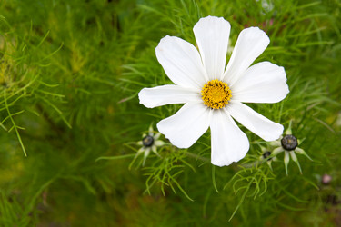 Similar image 352929