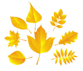 Similar image 353027