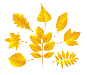 Similar image 353028