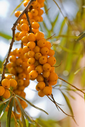 Similar image 353095