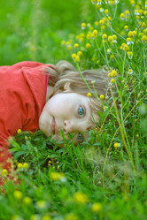 Similar image 353105