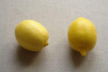 Similar image 353110