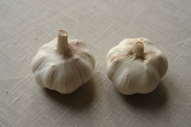 Similar image 353111