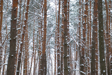 Similar image 353114