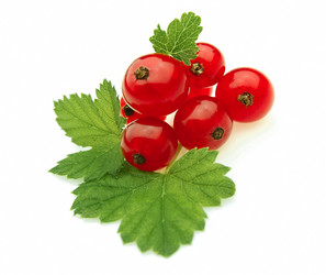 Similar image 353124