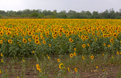 Similar image 353166