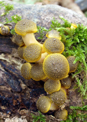 Similar image 353247