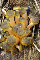 Similar image 353248