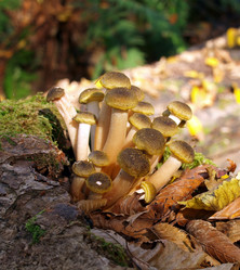 Similar image 353249