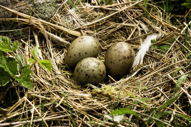 Similar image 353308