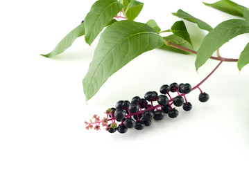 Similar image 353419