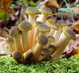 Similar image 353463