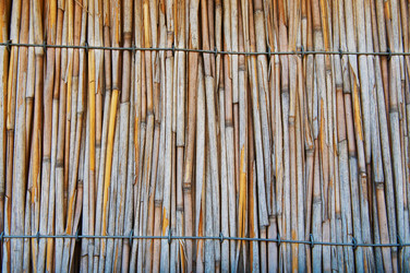 Similar image 353513