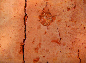 Similar image 353528