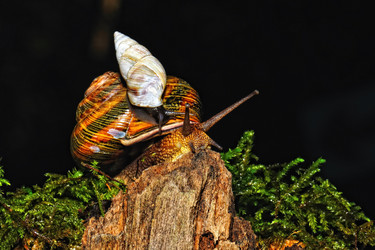 Similar image 353529