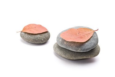 Similar image 353530