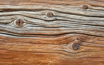 Similar image 353537