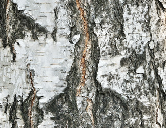 Similar image 353538