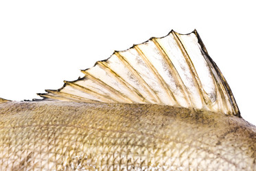 Similar image 353565