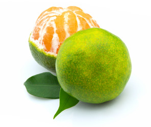 Similar image 353581