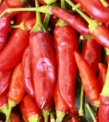 Similar image 353582