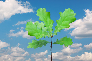 Similar image 353602