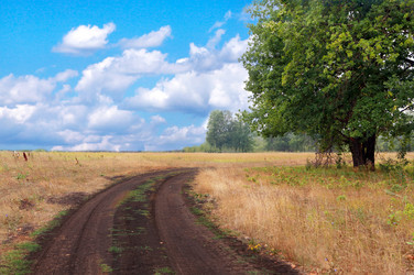 Similar image 353625