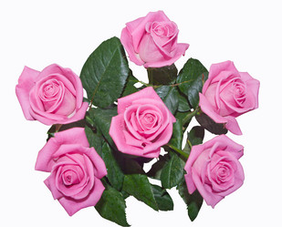 Similar image 353638