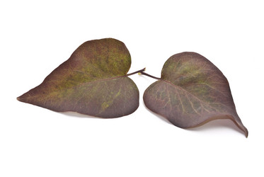 Similar image 353650