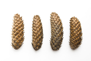 Similar image 353668