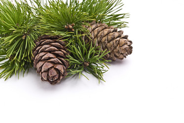 Similar image 353671