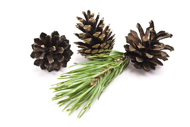 Similar image 353673