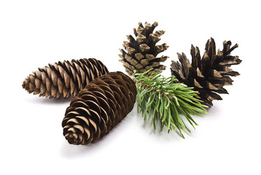 Similar image 353674