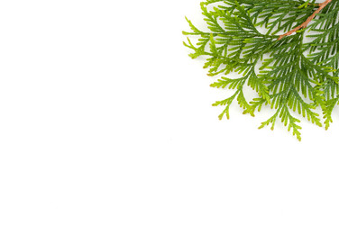 Similar image 353757