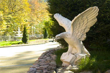 Similar image 353762