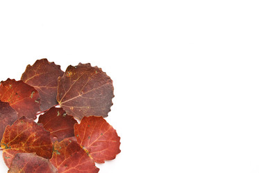 Similar image 353764