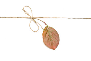 Similar image 353767