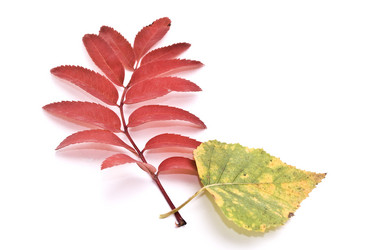 Similar image 353849