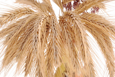 Similar image 353861