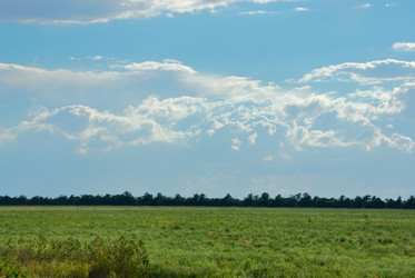 Similar image 353903