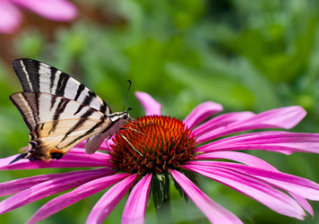 Similar image 353951