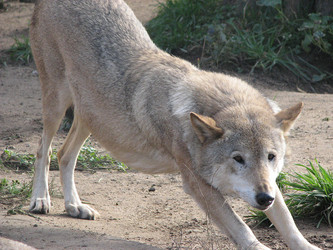 Similar image 353982