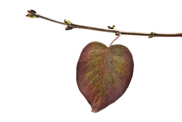 Similar image 354055