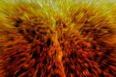 Similar image 354080