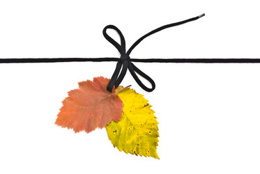 Similar image 354306