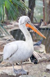 Similar image 354442