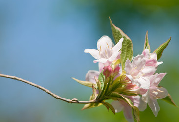 Similar image 354485